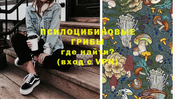 стафф Алексеевка
